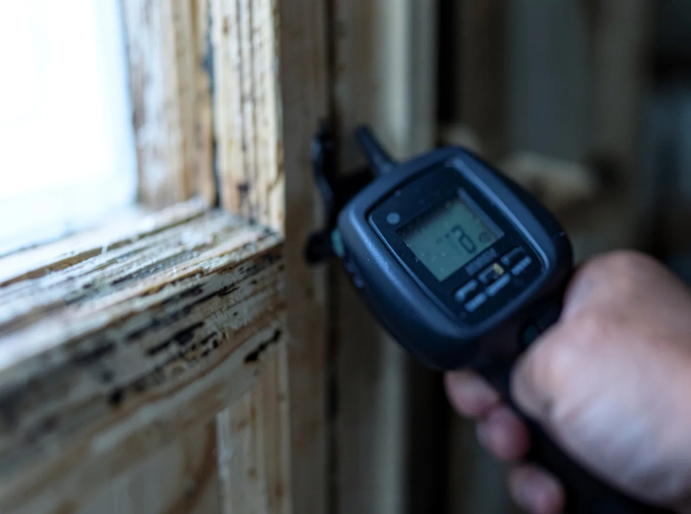 Moisture Inspection And Documentation in Harwich Port, MA